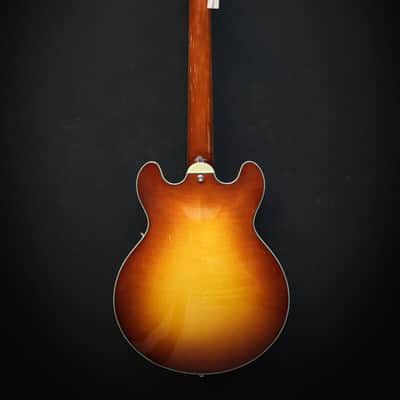 Eastman T484 Goldburst Bild 10