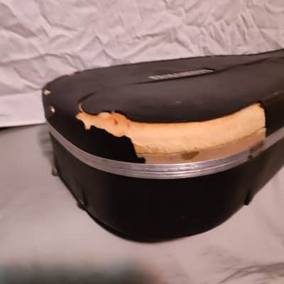 Martin D4 Dreadnaught thermoplastic hard case 1979 D18 D28 D35 D45 image 8
