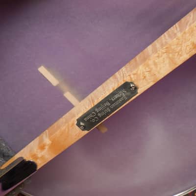 2010s Eastman Whyte Laydie-Style 5-String Openback Banjo (VIDEO! Fresh Work, Ready) image 12