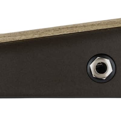 LR Baggs Align Active DI Acoustic Pedal image 5