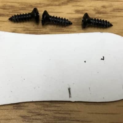 2016 Epiphone Les Paul Special II Electric Guitar Truss Rod Cover With Screws image 2