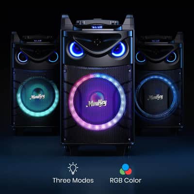 10" Karaoke Machine,Woofer, Portable PA System, Bluetooth Speaker with 2 Wireless Microphones, Lyrics Display Tablet Holder, Party Lights & Echo/Treble/Bass Adjustment Support REC/AUX/USB/TF image 4