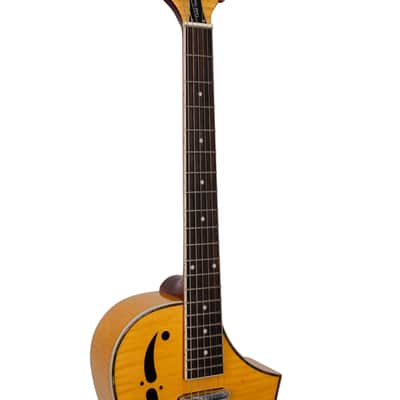 Gold Tone Mojo Flamed Solid Maple Top Mahogany Round Neck Resonator Guitar with Pickup & Hard Case image 8