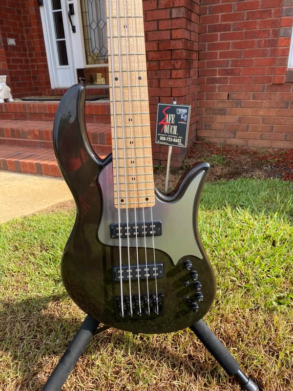 Mozina Custom 5 String Bass Guitar image 1