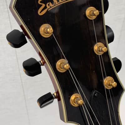 Eastman AR810CE – 2010 image 14