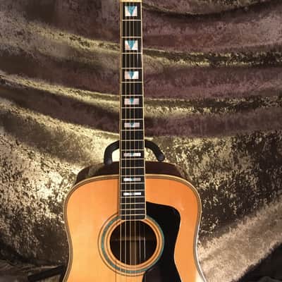 '94 Guild DV72 Westerly R.I. Wonder *Rare Bird Alert* I'm taking offers image 2