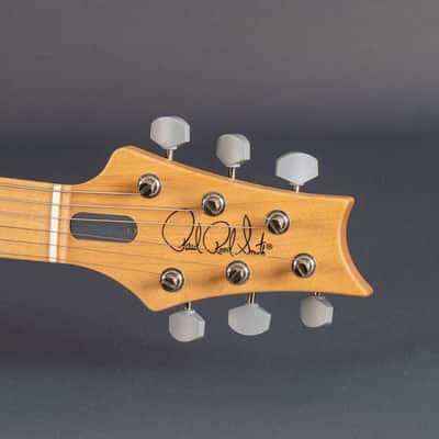 PRS Silver Sky Lunar Ice Limited 2021 image 17