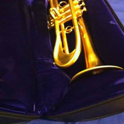 Monette Flumpet 2008 - Gold 24k image 4