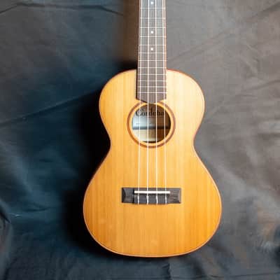 Cordoba 24T cedar top spalted maple tenor ukulele image 1