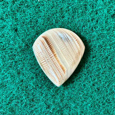 Seashell guitar pick/4.7mm thick, jazz profile… by BeachSidePicks image 1