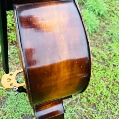 Immagine Giuseppe Petrazzini Cello 1890's Italian Labeled - 10