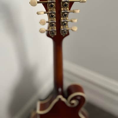 Kentucky KM-855 - Amberburst image 6