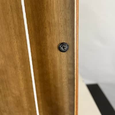 Meinl Artisan Edition Cantina Line Cajon, Brown Eucalyptus image 2