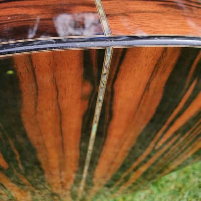 Goodall Concert Jumbo Cutaway - Master Italian Spruce over Macassar Ebony *Nice Upgraded* image 11