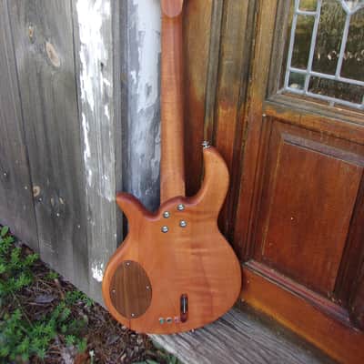 Scott Signature (Birdsong Scott) Amigo shortbass 2026 - Redwood on Spanish cedar image 3