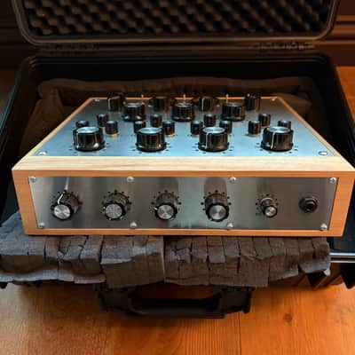 Condesa Carmen V incl. FX return, mic/line input, & carry case image 5