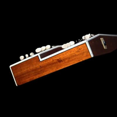 (Video) Double-Neck, non-Pedal Lap Steel w/Stand & OHSC image 11