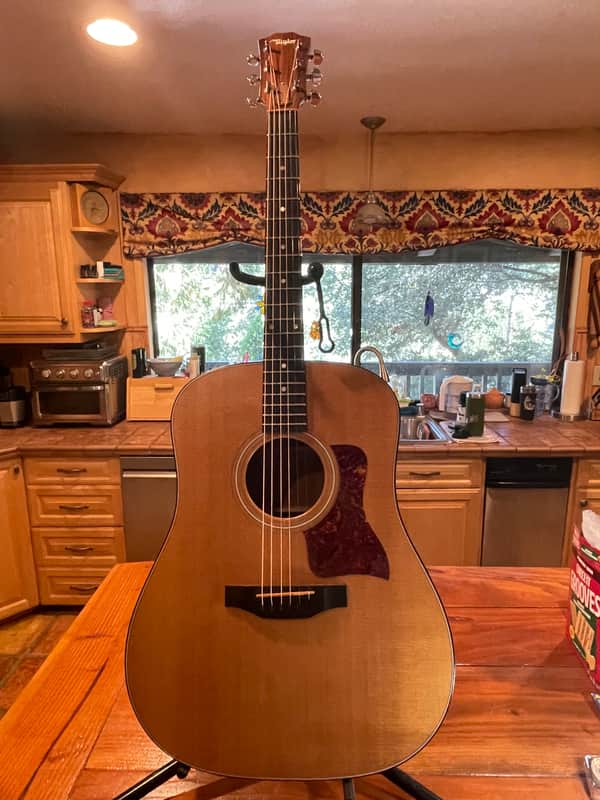 Taylor 410 Ebony Fretboard - A Rarified Acoustic Experience
