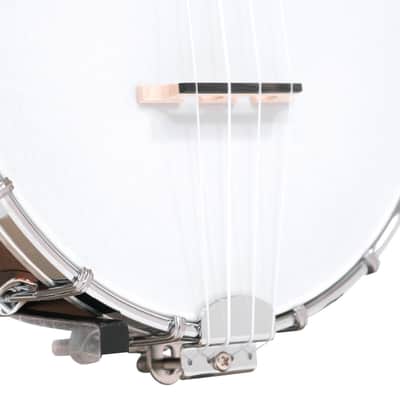 Gold Tone BUC Maple Neck Concert-Scale Banjo Ukulele with Hard Case image 6