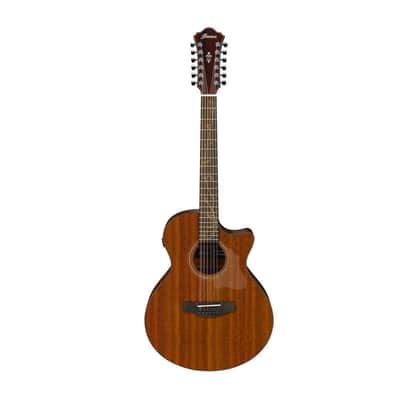 Ibanez AE2912 12-String Acoustic Electric Guitar, Katalox Fretboard, Natural Low Gloss image 1