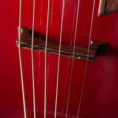 Tad Brown Archtop 16" Acoustic Calton Case image 8