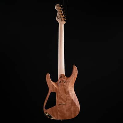 Charvel Pro-Mod DK24 HH HT M - Figured Walnut image 13