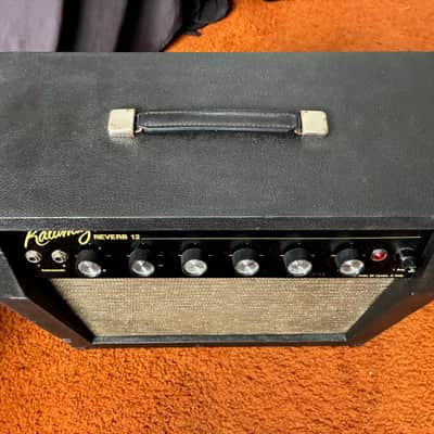 KALAMAZOO REVERB 12 1960s image 5