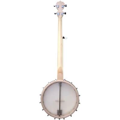 Deering Banjo D-GAM Goodtime Americana image 2