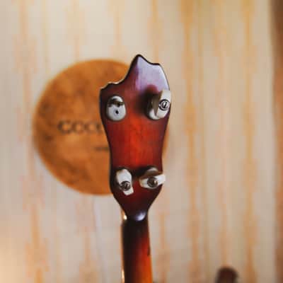 Musima Banjo 4 strings rare vintage USSR GDR image 15