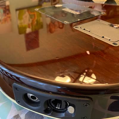 Line 6 Variax 700 Acoustic image 11