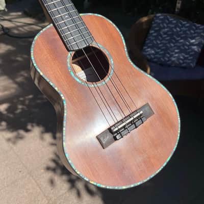 Hinrix concert ukelele 2023 image 3