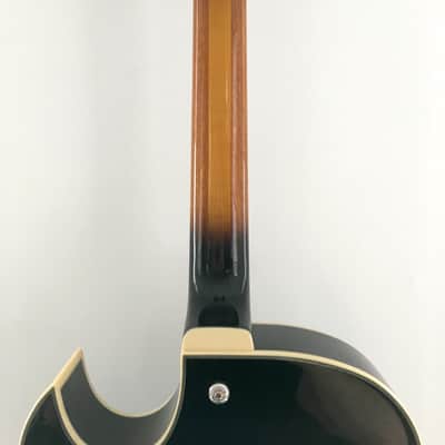 Ibanez AKJ-95 image 6