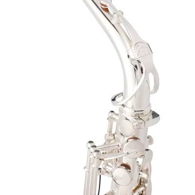 Silver Alto Saxophone with Silver Keys – Complete Set with Case, Mouthpiece & Accessories image 3
