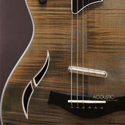 Taylor T5z Pro - Denim, Special Edition 2016 image 7
