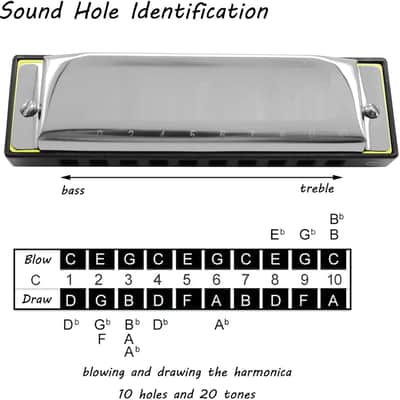 Harmonica Armonica Mouth Organ Blues Harmonica Key of C 10 Hole 20 Tone Polyphony Diatonic Harp with Case for Blues Folk Jazz Pop for Music Student Teacher Teaching Beginner Gift image 3