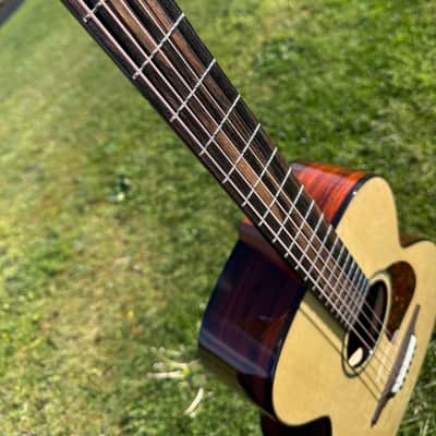 McNally Brazillian Rosewood P 12 Fret 2023 - Gloss body with satin Neck image 8