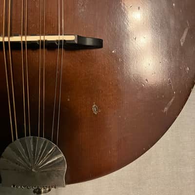 Flatiron Mandola model Mola 1CH 1995 - Chocolate brown, satin lacquer image 15