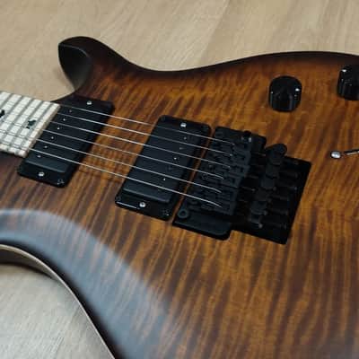 PRS Dustie Waring Signature CE 24 Floyd 2020 - Present - Burnt Amber Smokeburst image 2