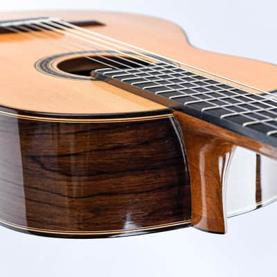 Antonio Raya Pardo Concert Spruce Rosewood 1997 image 10