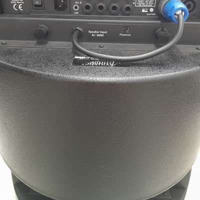 Acoustic Image S4 Coda Amp with Matching Cabinet 2017 for Upright Bass & Bass Guitar image 3