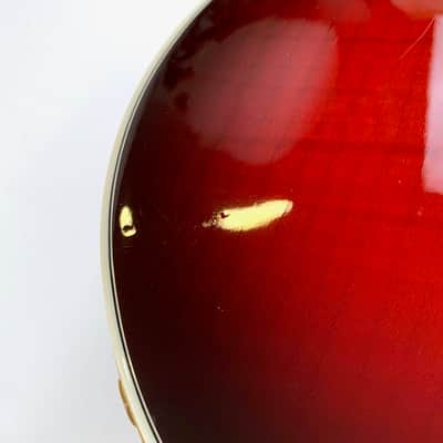 Gibson Les Paul Supreme 2007 Guitar of the Week #9 Autumn Burst image 19