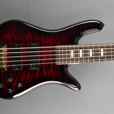 Spector Icon NS-5 Bolt-On - Black Cherry Gloss