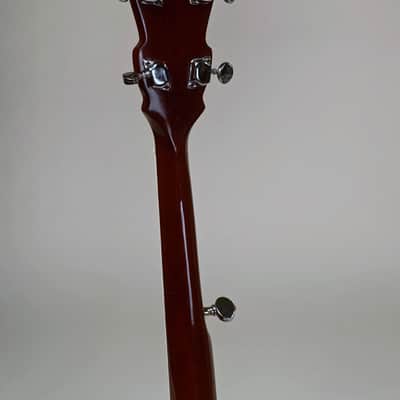 Royce All American Banjo "Elks Club" 1970's USA - Patriot Special image 7