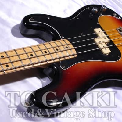 FERNANDES FPB 60 Mod image 4