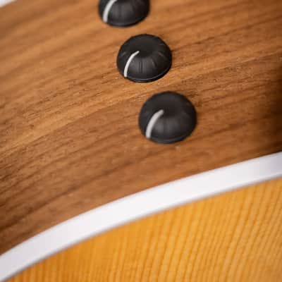 Taylor 210ce Dreadnought Acoustic/Electric Guitar with Gig Bag image 12