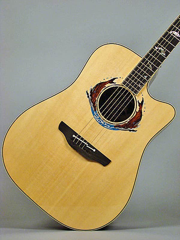 [正規品]2010 W杯　スナイデル Takamine LTD 2002 Whales 2002 Natural | Reverb