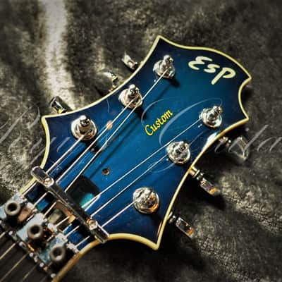 ESP Custom Order Made Type image 10