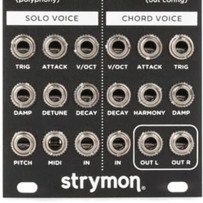 Strymon SuperKar+ Synth Voice Eurorack Module image 2