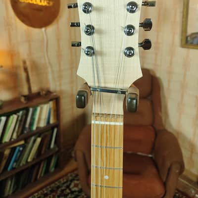 Roden Algina Style vintage USSR electric guitar strat tele image 9