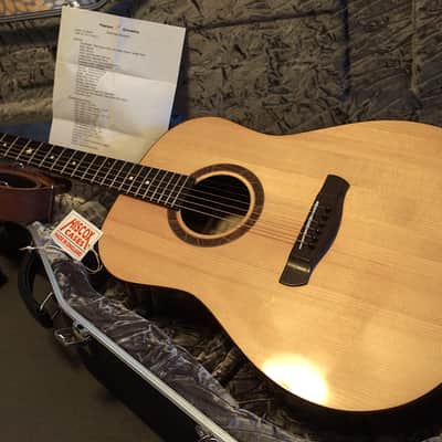 Peterson D-100 MY (2021) USA Handbuilt Boutique Acoustic Dreadnought - Fishman Matrix Infinity, OHSC image 10